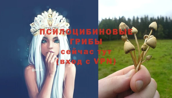 spice Приозерск