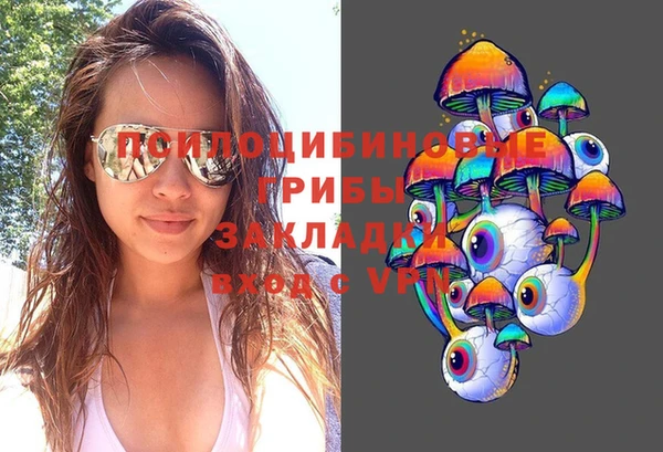 амф Абаза