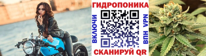 Шишки марихуана Ganja кракен вход Нариманов